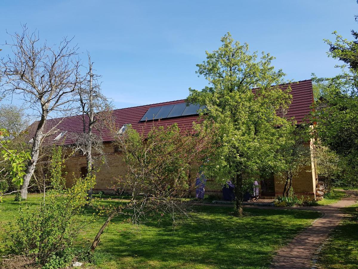 Drieschnitz Ferienhaus Auf Dem Hof Lechner מראה חיצוני תמונה